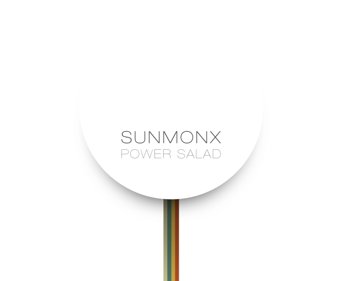 Sunmonx — Power Salad (2012) / Electronic, Dub, Dubstep, Chill