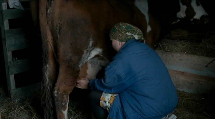 Охотник (2011)