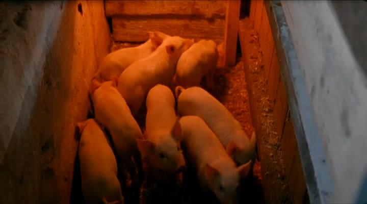 Охотник (2011)