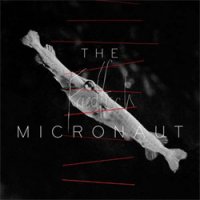 The Micronaut - Friedfisch (2012) / tech house, minimal, experimental, ambient, IDM, Gtrmany The Micronaut - Friedfisch (2012) / tech house, minimal, experimental, ambient, IDM, Gtrmany