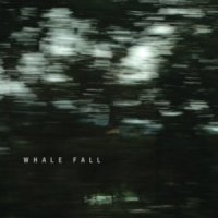 Whale Fall - Whale Fall (2011) / post-rock, ambient, cello, US