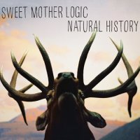 Sweet Mother Logic - Natural History (2011) / baroque, cello, chamber, experimental, Canada