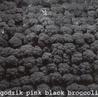 Godzik Pink - винил и диски / punk jazz