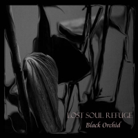 Lost Soul Refuge - 4 ЕР (2008-2012) / trip-hop, abstract hip-hop, UK Lost Soul Refuge - 4 ЕР (2008-2012) / trip-hop, abstract hip-hop, UK