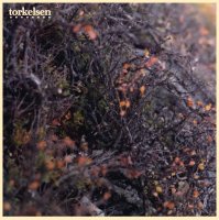 Torkelsen - Torkelsen (2012) / glitch hop, beats (allmost broken), electronic, summer moods Torkelsen - Torkelsen (2012) / glitch hop, beats (allmost broken), electronic, summer moods