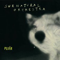 Surnatural Orchestra - Pluir (2012) / Experimental Big Band, Modern Creative, Avant-Jazz, World, Cabaret, Free Improvisation