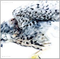 ハイスイノナサ (Haisuinonasa) / post rock, minimal music, math, electronica ハイスイノナサ (Haisuinonasa) / post rock, minimal music, math, electronica