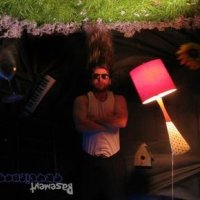 Basement Skylights - Basement Skylights (2012) / trip-hop, US