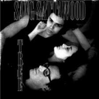 Sang Sattawood - Tree (2012) / psychedelic garage blues-rock