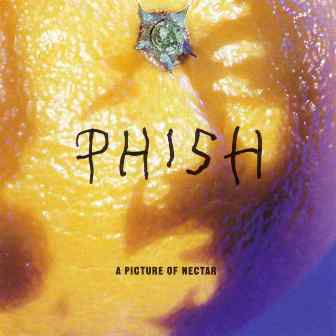 Phish (1986-2009) студийная дискография 15 альбомов / Jazz, Rock, Blues, Folk, Jam Rock, Neo Psychedelic and Progressive Phish (1986-2009) студийная дискография 15 альбомов / Jazz, Rock, Blues, Folk, Jam Rock, Neo Psychedelic and Progressive