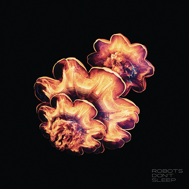 Robot Koch, Robots Don't Sleep, Rumpistol / Red Baron (Project:Mooncircle) 2012 / dubstep, electronic, experimental, experimental hip-hop