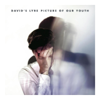 David`s Lyre - Picture Of Our Youth (2012) / indie, pop, electronic, folk David`s Lyre - Picture Of Our Youth (2012) / indie, pop, electronic, folk