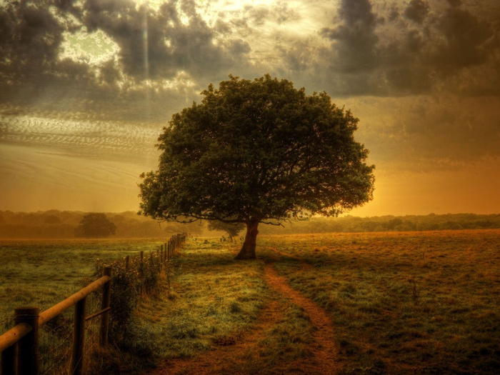 The Flashbulb "Soundtrack To A Vacant Life" (2008) / acoustic, electronic, modern classical, ambient, post-rock, IDM, [Re:up]