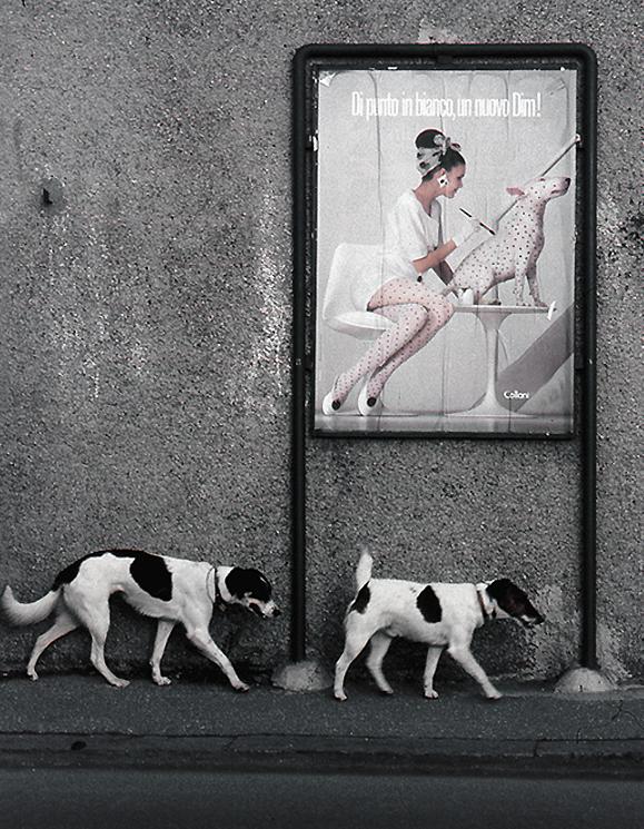 Рекламная гармония и жизнь. Рекламная гармония и жизнь.