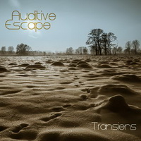 Auditive Escape - Transiens (2013), Sense Intra (2013) / electronic, chillout, downtempo, minimal, trip hop