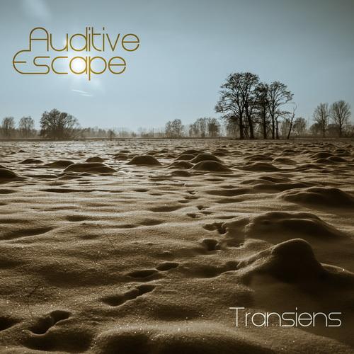 Auditive Escape - Transiens (2013), Sense Intra (2013)/ electronic, chillout, downtempo, minimal, trip hop Auditive Escape - Transiens (2013), Sense Intra (2013)/ electronic, chillout, downtempo, minimal, trip hop