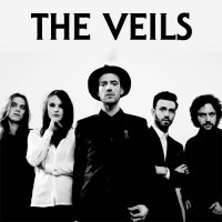 The Veils - дискография/ indie rock