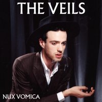 The Veils - дискография/ indie rock