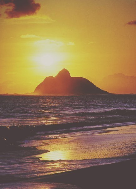 Big Bud "Fear Of Flying The Remix Project" (2CD) / intelligent drum'n'bass, atmospheric jungle, soulfull d'n'b, Sound Trax, [Re:Up]