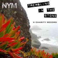 Nym – Trembling In The Stone (2013) / Instrumental, Trip-Hop