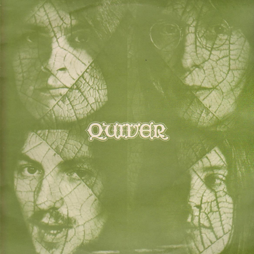 Как выглядит песня. Quiver обложка. Flëur обложки альбомов. Quivering, the (1998) dos обложка. Album Art песни всё пройдет.