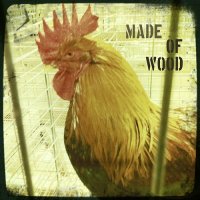 Made of Wood – Birds of the State Fair (2013) / Chillout Funk, Piano Groove, Jazz, Beats, Electronic Made of Wood – Birds of the State Fair (2013) / Chillout Funk, Piano Groove, Jazz, Beats, Electronic
