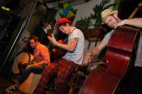 More Like Trees – Roots, Shoots & Leaves (2013) / Strum & Bass, Acoustic, Experimental