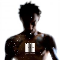 Tricky - False Idols (2013) / trip-hop, dub, downtempo