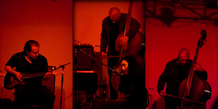 Kammerflimmer Kollektief - Wildling (2010) / Experimental, Future Jazz, Ambient, [Re:up]