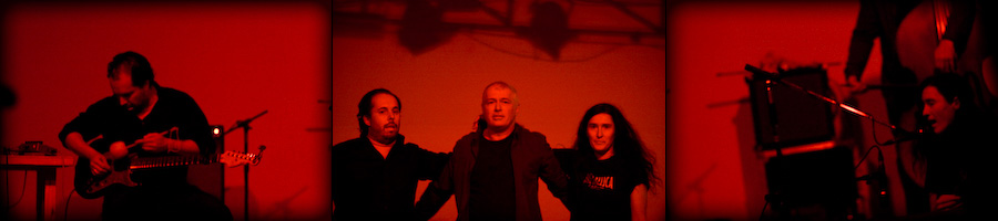 Kammerflimmer Kollektief - Wildling (2010) / Experimental, Future Jazz, Ambient, [Re:up]