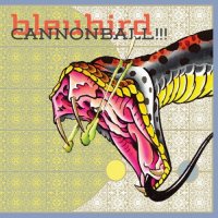 Bleubird – Cannonball!!! (2012) // abstract hip-hop, indie, folk, electronic, experimental, rapping, ветви и сучья южных равнин