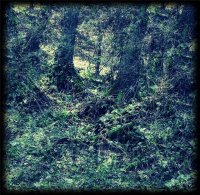 Supremus - Artifacts (2013) / avant-garde, experimental, free jazz Supremus - Artifacts (2013) / avant-garde, experimental, free jazz
