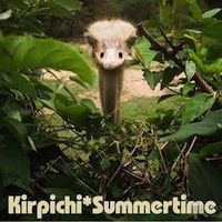 Кирпичи – Summertime (2013) / hardcore, rapcore Кирпичи – Summertime (2013) / hardcore, rapcore