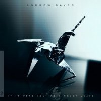 Andrew Bayer - If It Were You, We'd Never Leave (2013) / glitch, downtempo, idm Andrew Bayer - If It Were You, We'd Never Leave (2013) / glitch, downtempo, idm