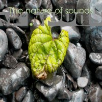 Instrumental hip-trip-hop - 4 albums (2012-13) / trip-hop, hip-hop, downtempo, jazz-bass Instrumental hip-trip-hop - 4 albums (2012-13) / trip-hop, hip-hop, downtempo, jazz-bass