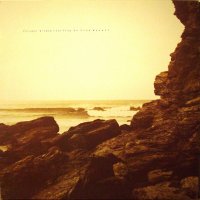 Richard David James (Aphex Twin, AFX, Caustic Window, Polygon Window) - Часть 1 / experimental, ambient, electronic, warp records, rephlex Richard David James (Aphex Twin, AFX, Caustic Window, Polygon Window) - Часть 1 / experimental, ambient, electronic, warp records, rephlex