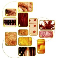 Richard David James (Aphex Twin, AFX, Caustic Window, Polygon Window) - Часть 1 / experimental, ambient, electronic, warp records, rephlex Richard David James (Aphex Twin, AFX, Caustic Window, Polygon Window) - Часть 1 / experimental, ambient, electronic, warp records, rephlex