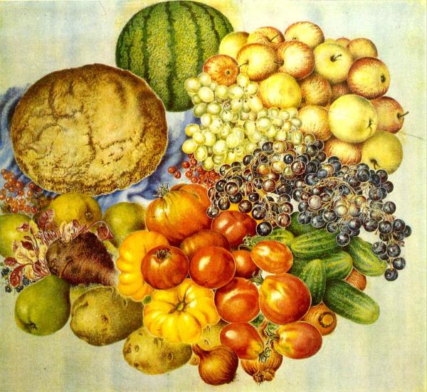 Катерина Василівна Білокур / Катерина Билокур (1900-1961) / Народная художница