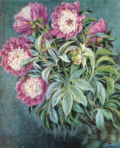 Катерина Василівна Білокур / Катерина Билокур (1900-1961) / Народная художница