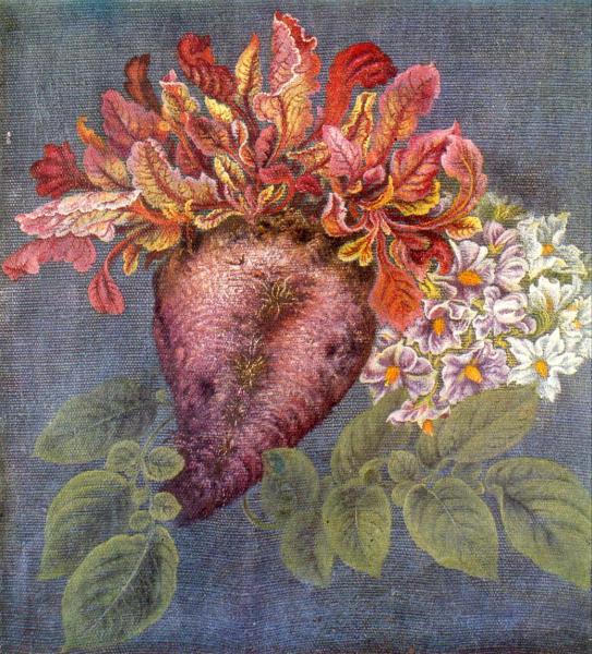 Катерина Василівна Білокур / Катерина Билокур (1900-1961) / Народная художница