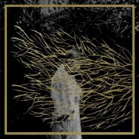 Forest Swords - Engravings (2013) / Ambient, Psychedelic, Electronic