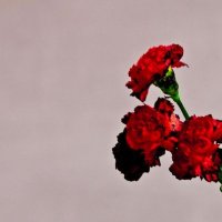 John Legend "Love in the Future" (2013) / soul, r'n'b John Legend "Love in the Future" (2013) / soul, r'n'b