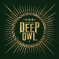 HBS - In Deep Owl (2013) / alternative rock, acoustic, experimental, US