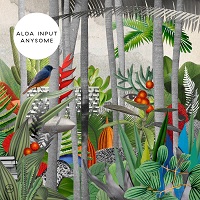 Aloa Input – Anysome (2013) Aloa Input – Anysome (2013)