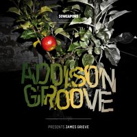 Addison Groove - Presents James Grieve (2014) / juke, footwork, bass, future garage, acid