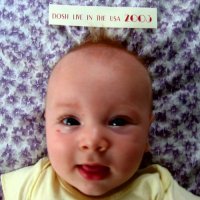 Dosh (2002-2013) / downtempo, abstract, experimental, indie rock, broken beat, electroacoustic, modern jazz, idm