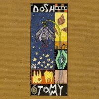 Dosh (2002-2013) / downtempo, abstract, experimental, indie rock, broken beat, electroacoustic, modern jazz, idm