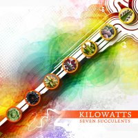 KiloWatts - Seven Succulents (2014) / downtempo, acid jazz, psychedelic, leftfield, idm, electronic