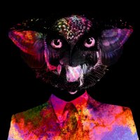 Robots Don't Sleep — Mirror (2014) / electronic, downtempo, indie pop, experimental, Germany Robots Don't Sleep — Mirror (2014) / electronic, downtempo, indie pop, experimental, Germany