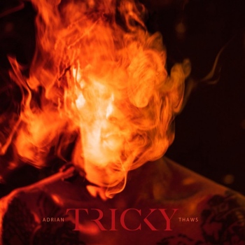 Trip-Hop News - 2 albums + EP (2014) / trip-hop, downtempo, experimental Trip-Hop News - 2 albums + EP (2014) / trip-hop, downtempo, experimental